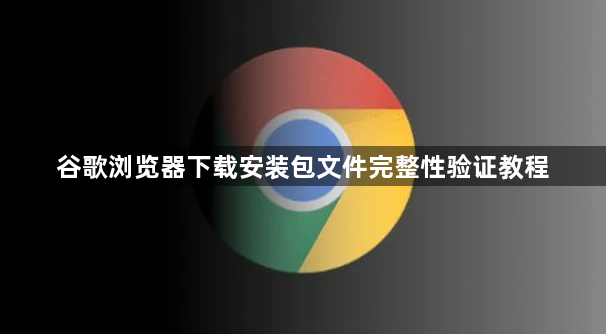 谷歌浏览器下载安装包文件完整性验证教程1