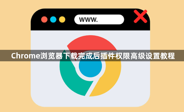 Chrome浏览器下载完成后插件权限高级设置教程1