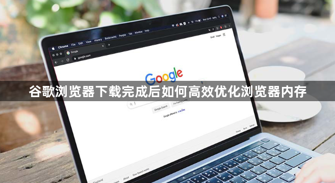谷歌浏览器下载完成后如何高效优化浏览器内存1